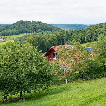 Jolly Joker * Freiamt